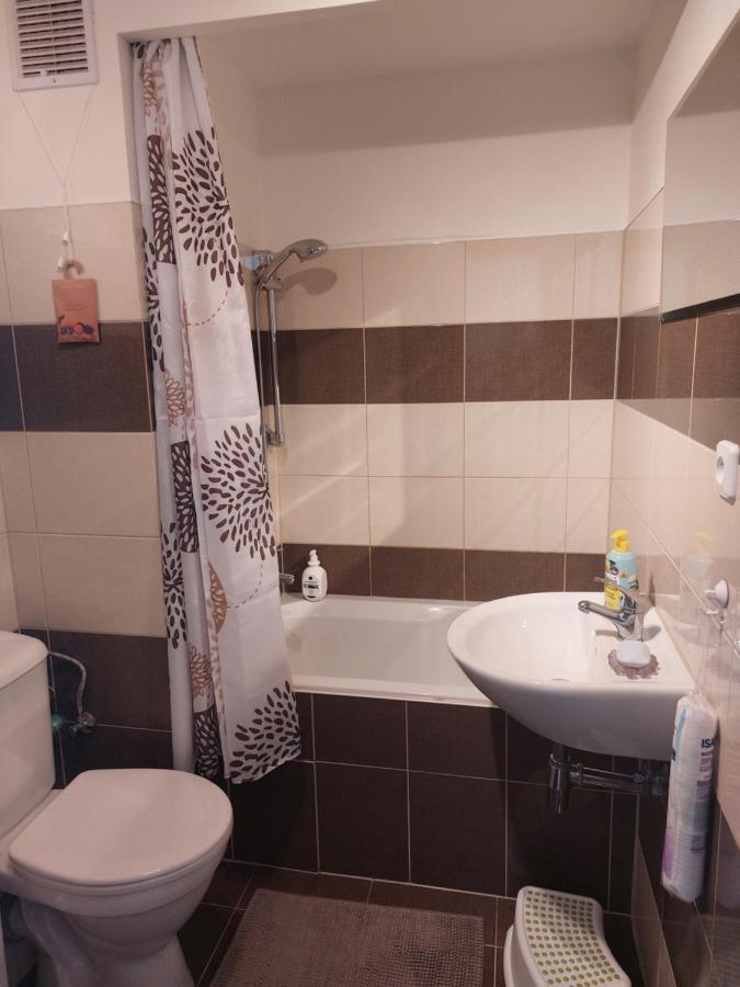 Apartman V Podhuri Krusnych Hor Sokolov Eksteriør billede